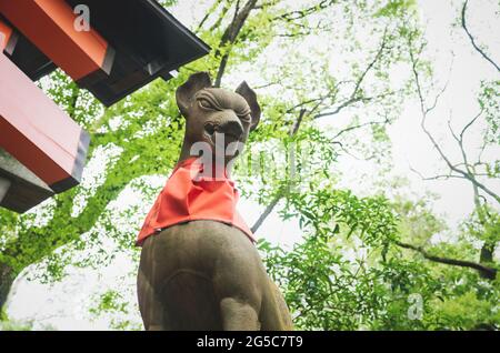 Fuchskisune-Statue im üppigen Waldland am Fushimi Inari Taisha-Schrein in Kyoto, Japan Stockfoto