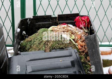 Oben auf dem kaputten alten zerstörten vollen schwarzen Plastikkompostbehälter neben dem Metallzaun, der mit frisch gefallener Schneedecke im Hinterhof des Vorstadtfamilienhauses bedeckt ist Stockfoto