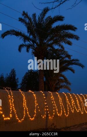 Dekorative String-Lichter im Freien, die im Garten bei nächtlichen Festen an Bäumen hängen Stockfoto