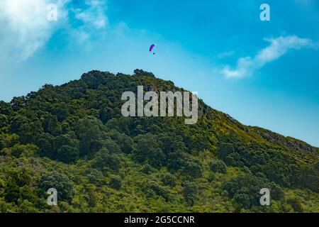 Paragliding-Aktivitäten am Mount Maunganui, einem entspannten Vorort, der für den erloschenen Vulkan Mount Maunganui bekannt ist, einer heiligen Maori-Stätte mit Wanderwegen mit Meerblick Stockfoto