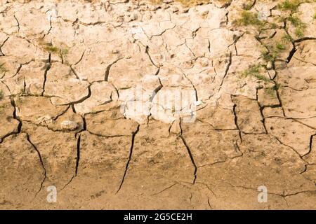 Der Boden ist eine weiche, körnige Abdeckung der Erdoberfläche Stockfoto