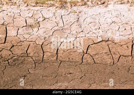 Der Boden ist eine weiche, körnige Abdeckung der Erdoberfläche Stockfoto
