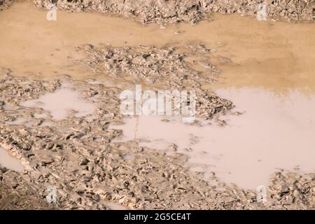 Der Boden ist eine weiche, körnige Abdeckung der Erdoberfläche Stockfoto