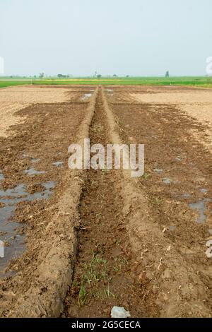 Der Boden ist eine weiche, körnige Abdeckung der Erdoberfläche Stockfoto