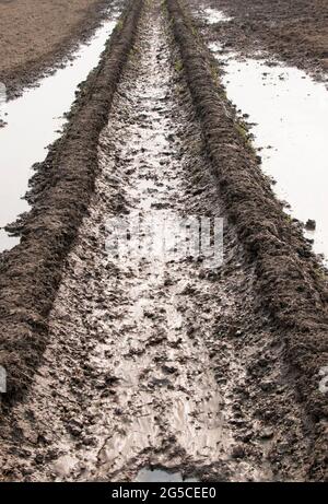 Der Boden ist eine weiche, körnige Abdeckung der Erdoberfläche Stockfoto