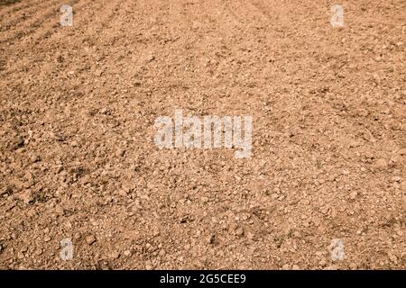 Der Boden ist eine weiche, körnige Abdeckung der Erdoberfläche Stockfoto