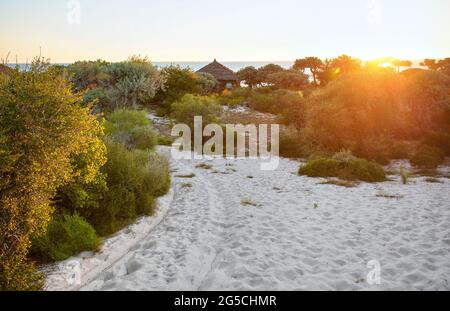Sandiger Weg zum Wasser, nachmittags scheint die Sonne an Büschen auf beiden Seiten, Holzhaus in der Ferne Stockfoto