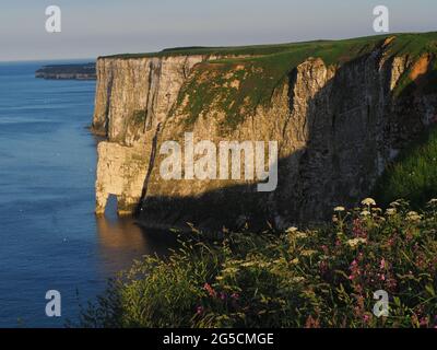 „ BEMPTON CLIFFS “ , „ UK “ , „ SEASCAPE “ Stockfoto