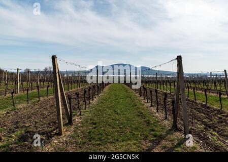 Wunderschöne Landschaft von Weinberg, Nove Mlyny See, Popice und Pavlov Dorf und Palava Berge in der Tschechischen republik während der Sprintzeit Tag mit blauem Himmel Stockfoto