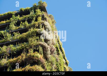 Eine Central Park, die Jean Nouvel entworfen Appartementhaus in Sydney, Australien in Australischen einheimischen Pflanzen, die vom Boden aus verlängern abgedeckt Stockfoto