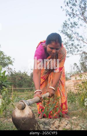 Indische ländliche Frau Farmer arbeitet im landwirtschaftlichen Bereich Stockfoto