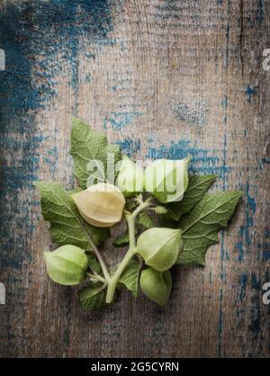 Cape Gooseberry Früchte auf Holzhintergrund Stockfoto