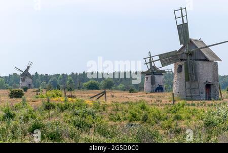 Windmühlen in Burgsvik, Gotland, Schweden Stockfoto