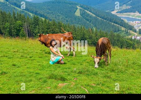 Ein junges wunderschönes Mädchen Schäferhund weiden Kühe auf einer Bergwiese mit herrlichem Blick auf die Hügel. Stockfoto