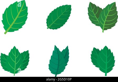 Mint-Symbole setzen einen flachen Vektor isoliert Stock Vektor