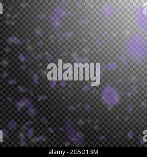 Violette Blütenblätter fallen herunter. Erstaunliche romantische Blumen fallen regen. Fliegendes Blütenblatt auf transparentem quadratischem Hintergrund. Liebe, Romantik Konzept. Be Stock Vektor