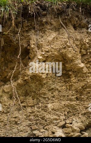 Sichtbare Schichten von lithosolartigen Böden in den Bieszczady-Bergen Stockfoto