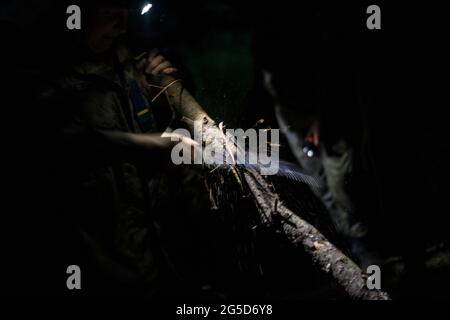 Holzschnitt in der Nacht mit einer Säge und mit Stirnlampe Stockfoto