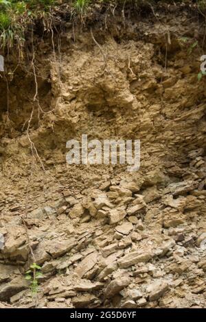 Sichtbare Schichten von lithosolartigen Böden in den Bieszczady-Bergen Stockfoto