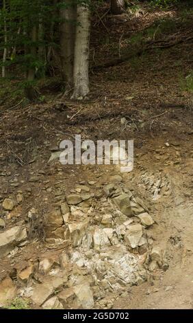 Sichtbare Schichten von lithosolartigen Böden in den Bieszczady-Bergen Stockfoto