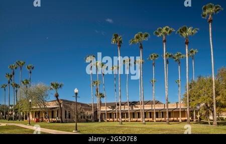 Sabal Palms, Cavalry Building, ehemalige Fort Brown-Kaserne, auf dem Brownsville Campus der University of Texas Rio Grande Valley, in Brownsville, Texas, USA Stockfoto