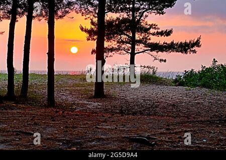 Ein herrlicher Sonnenuntergang am Ufer des Finnischen Meerbusens Stockfoto