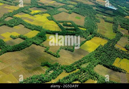 Kakinada,,April,10,2007,Luftansicht von Reisfeldern, Feldern, Kokosnussplantagen und Wasserreservoirs aus Kakinada, Andhra Pradesh, Indien, Asien Stockfoto