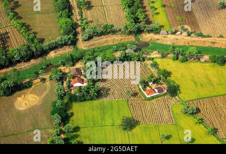 Kakinada,April 10,2007:,Luftaufnahme von teilweise geernteten Reisfeldern, Kokospalmen und Bauernhäusern im Distrikt Kakinada, Andhra Pradesh Indien. Stockfoto