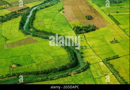 Kakinada, April 10,2007:,Luftansicht von geerntetem Reisfeld, Kokosnusspalmen und Wasserkanal, Kakinada, Andhra Pradesh Indien, Asien Stockfoto