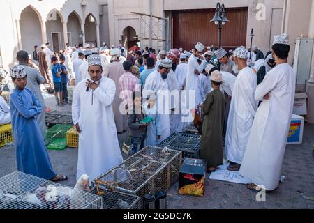 Nizwa, Oman, 2. Dezember 2016: Ein einheimisches Publikum auf dem Vogelmarkt in Nizwa, Oman - ein Teil des wöchentlichen Freitagsmarktes Stockfoto