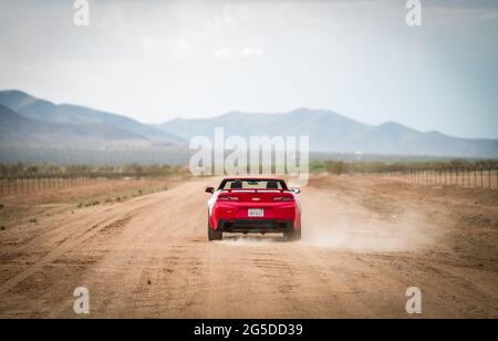 Red Muscle Auto fahren in der Wüste Stockfoto