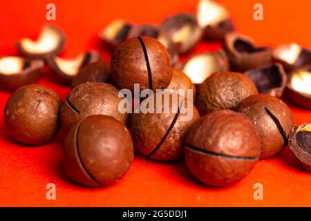 Die köstlichste und teuerste Macadamianuss. Walnuss auf rotem Hintergrund. Stockfoto