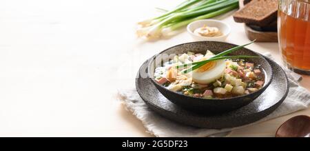 Russische Sommer-Okroshka-Suppe mit Kefir. Frische okroshka aus Sommer gehacktem Gemüse, Gurken, Rettich, Kartoffeln, gekochten Eiern, Dill mit Kefir Stockfoto