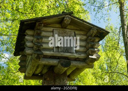Kleines Baumhaus aus Baumstämmen im Wald Stockfoto