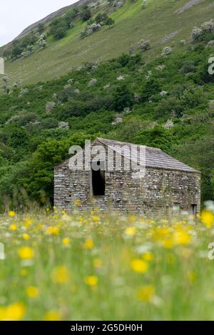 Alte traditionelle Steinscheune inmitten einer Wildblumenwiese, Muker, Swaledale, North Yorkshire, Großbritannien. Stockfoto