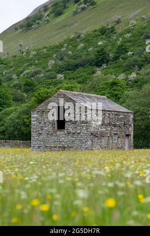 Alte traditionelle Steinscheune inmitten einer Wildblumenwiese, Muker, Swaledale, North Yorkshire, Großbritannien. Stockfoto