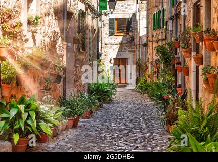 Valldemossa plant Straße Gasse mit Sonne Flare im Sommer Stockfoto