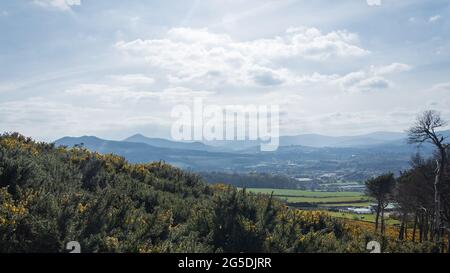 Panoramablick vom Gipfel des Bray Head, County Wicklow, Irland. Sommer Küstenlandschaft. Stockfoto