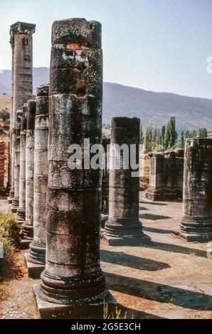 Sardis/Sardes/Sfarad - Ruinen einer antiken Stadt in der Provinz Manisa in der Türkei. Tempel der Artemis. Archivscan von einem Dia. Oktober 1985. Stockfoto