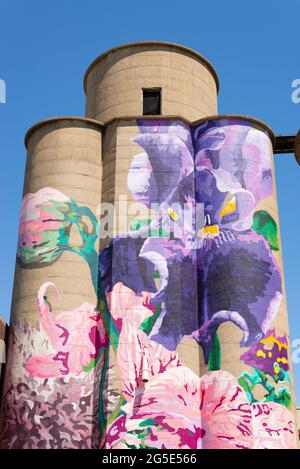 Sterling, Illinois - USA - 22. Juni 2021: Bemalte Silos der Künstlerin Annie Hermes im Jahr 2018 mit strahlend blauem Himmel im Hintergrund. Stockfoto