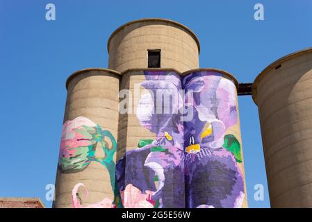 Sterling, Illinois - USA - 22. Juni 2021: Bemalte Silos der Künstlerin Annie Hermes im Jahr 2018 mit strahlend blauem Himmel im Hintergrund. Stockfoto