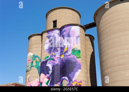 Sterling, Illinois - USA - 22. Juni 2021: Bemalte Silos der Künstlerin Annie Hermes im Jahr 2018 mit strahlend blauem Himmel im Hintergrund. Stockfoto