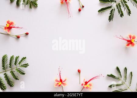 Blumenrahmen. Rahmen aus tropischen Blumen und Blättern Stockfoto