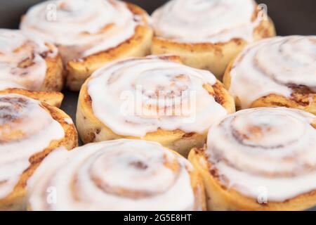 Frische Zimtbrötchen mit weißer Vereisung in einer Backform Stockfoto