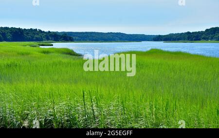 Eine leuchtend grüne Weite von Gezeitensalzsumpf öffnet sich zum blauen Wasser des Stony Brook Harbour am Nordufer von Long Island. Speicherplatz kopieren. Stockfoto