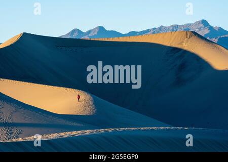 Wanderer klettern entlang der Ove Pipe Wells Dunes im Death Valley National Park Stockfoto