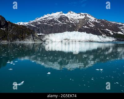 Margerie Glacier, ein in den Glacier Bay National Park, Alaska, USA, zurückziehende Gletschergletscher Stockfoto