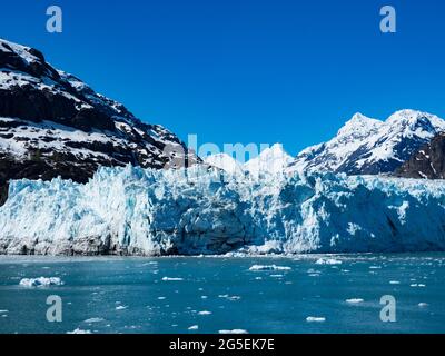 Margerie Glacier, ein in den Glacier Bay National Park, Alaska, USA, zurückziehende Gletschergletscher Stockfoto