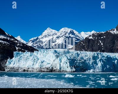 Margerie Glacier, ein in den Glacier Bay National Park, Alaska, USA, zurückziehende Gletschergletscher Stockfoto