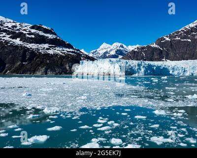 Margerie Glacier, ein in den Glacier Bay National Park, Alaska, USA, zurückziehende Gletschergletscher Stockfoto